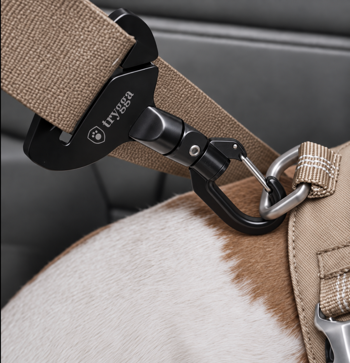 Trygga Dog Seat Belt Buckle