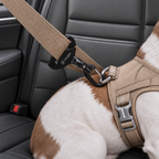 Trygga Dog Seat Belt Buckle