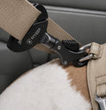 Safety belt harness