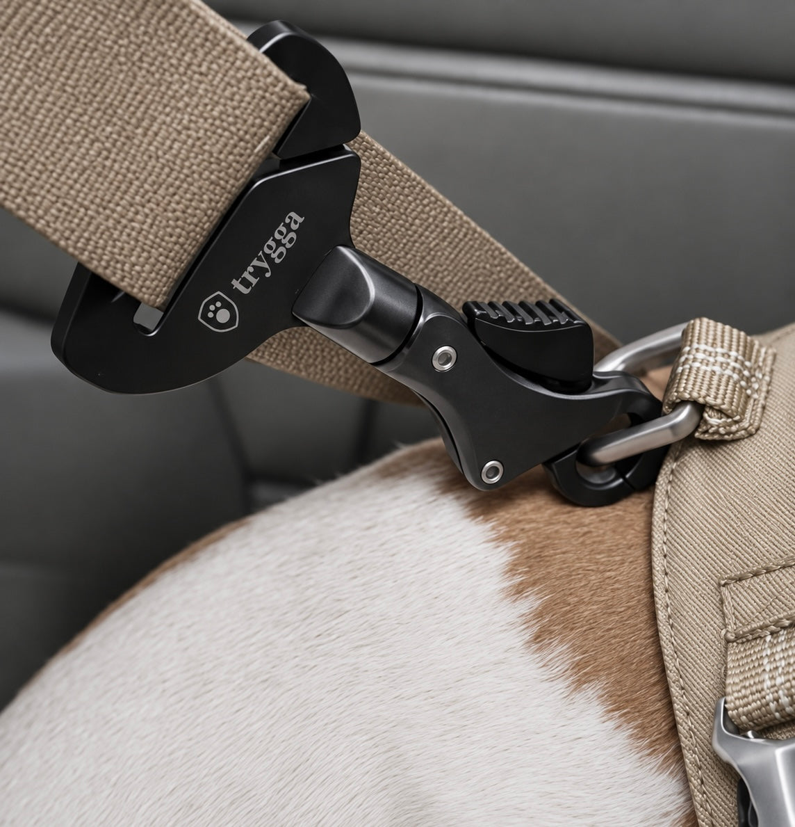 Safety belt harness