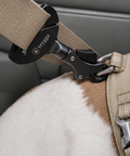 Safety belt harness