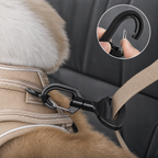 Trygga Dog Seat Belt Buckle
